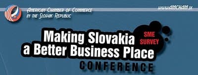 Steven Kelly at AmCham panel